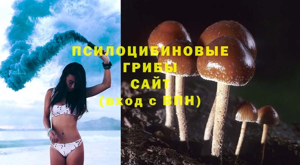 apvp Абдулино